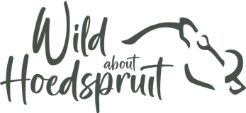 Wild About Hoedspruit